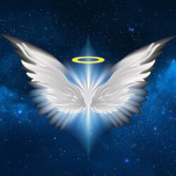 The Angelic View avatar